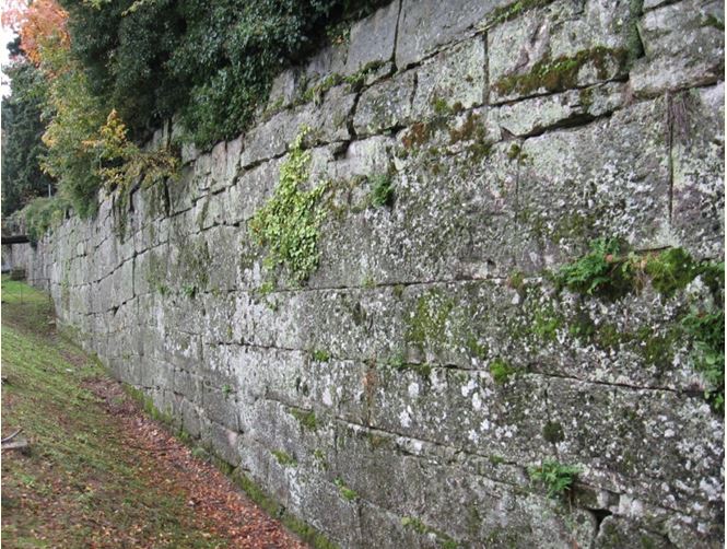 Fig. 2. Le mura etrusche oggi, tratto settentrionale in via delle mura etrusche