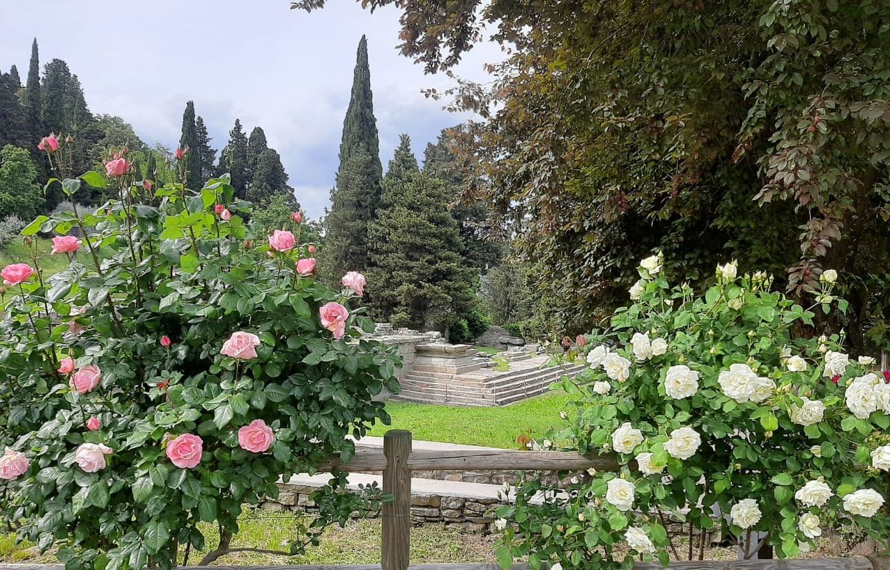 Rose dell'Area Archeologica di Fiesole - Tempio