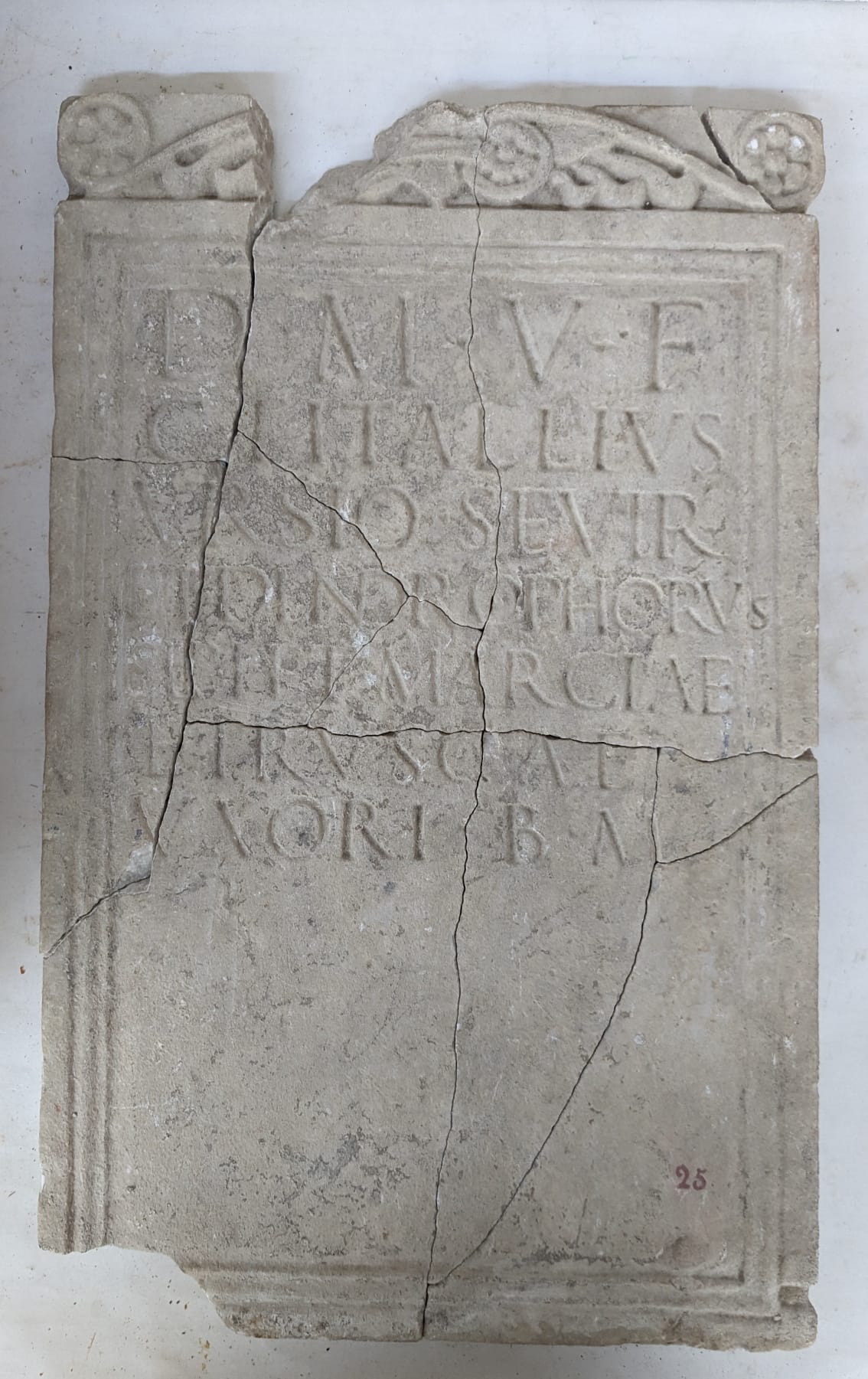 Fig. 4 - Stele funeraria di Caio Titallio seviro augustale, Museo Civico Archeologico di Fiesole